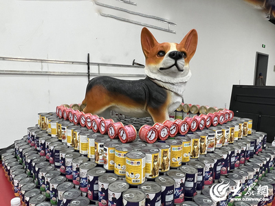 智圣故里·时尚临沂·美好沂南⑤ | 产业聚集链式发展，建设宠物食品高端园区，打造产业发展新高地